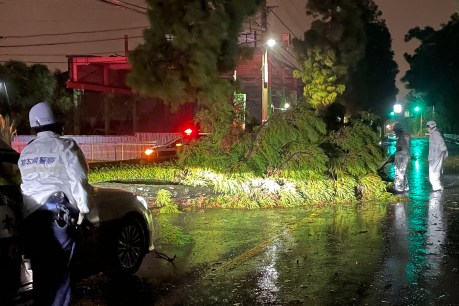 Typhoon hits southwest Japan, one dead