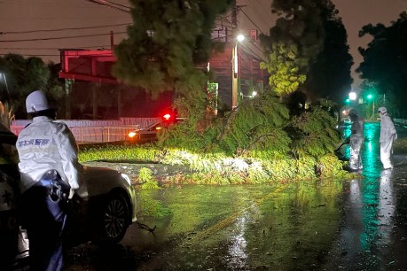 Two dead, others missing in aftermath of Typhoon Nanmadol hitting south-west Japan