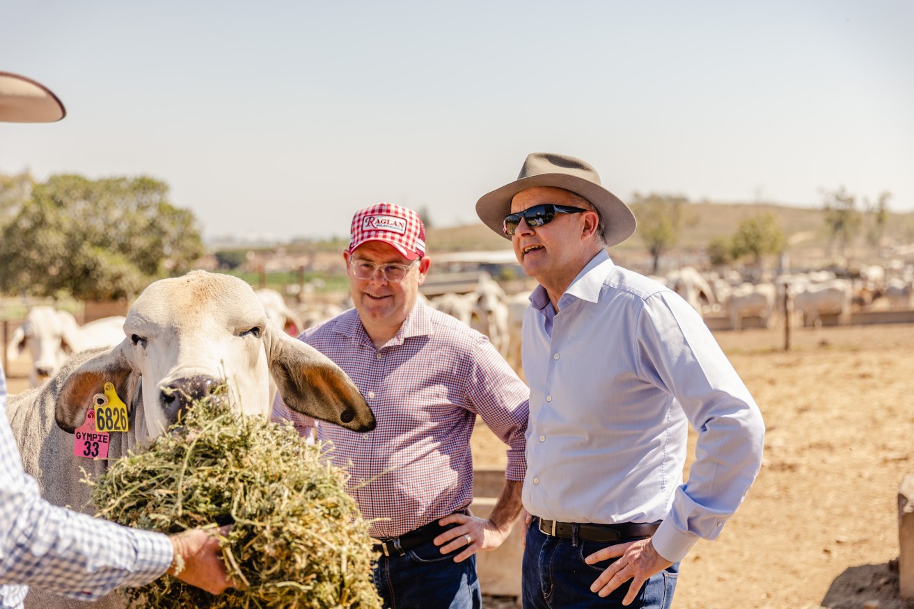 Australian farmers could be the biggest winners of a UK free trade deal.