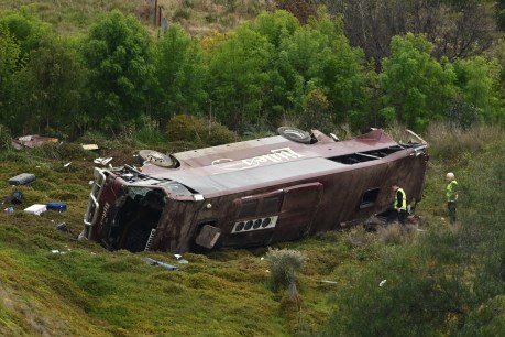 Dozens of children rushed to hospital after bus crash
