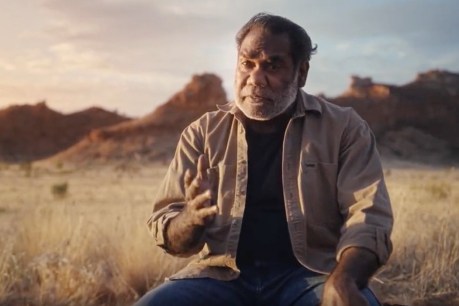 Indigenous voice ad campaign launched