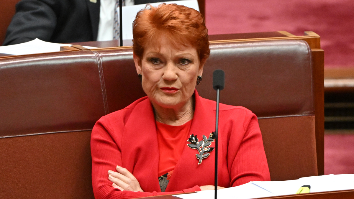 Human Rights Body To Probe Hanson Tweet