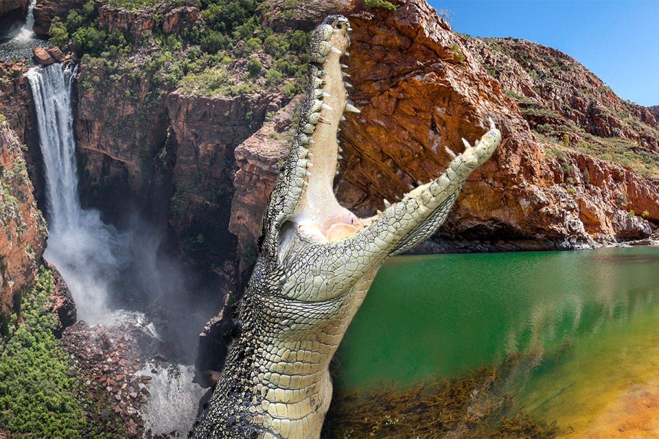 Kakadu is world famous for Indigenous rock art, cascading waterfalls, endless vistas, surreal rock formations and crocs.