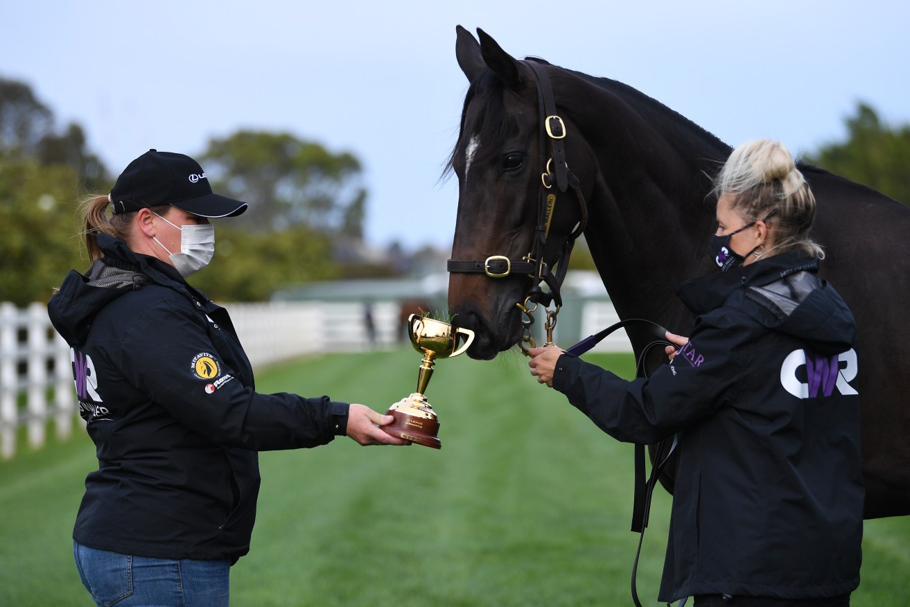 Melbourne Cup winner Verry Elleegant has missed out on a spot in the Prix de l'Arc de Triomphe. 