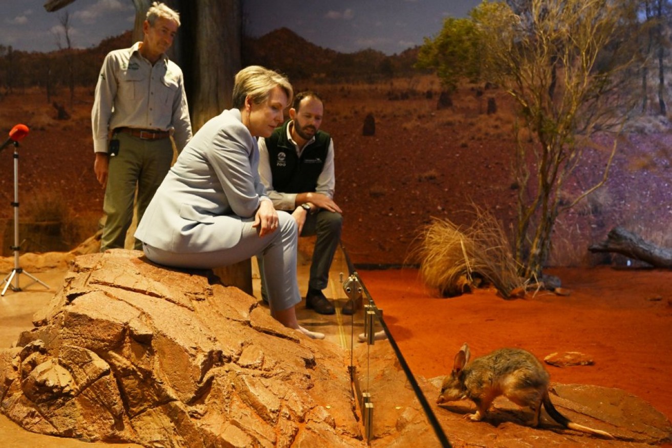 Environment minister Tanya Plibersek will host some the greatest minds in the environment movement.