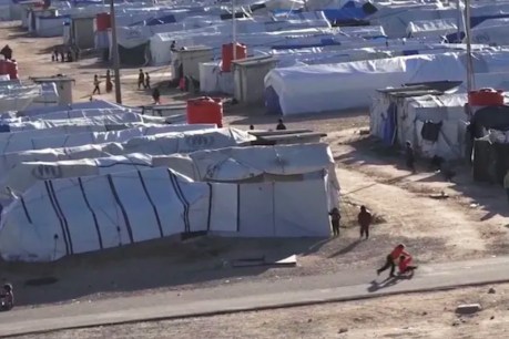 Compassion is in nation’s interests as it repatriates citizens from Syrian camp