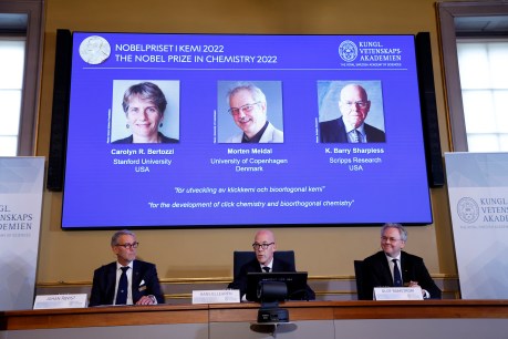 Pioneering chemistry trio shares Nobel Prize