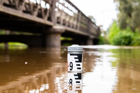 NSW on flood watch as more rain expected