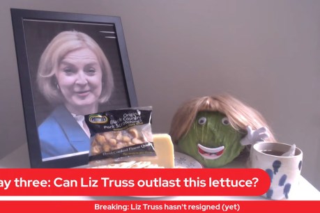 Liz or lettuce? Tabloid's cheeky war on British PM
