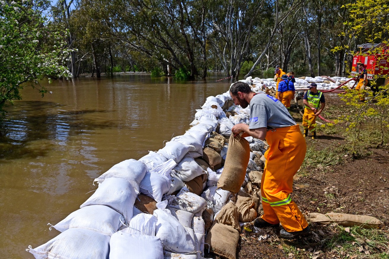 People in Echuca have built a makeshift sandbag levy to protect thousands of homes and businesses.