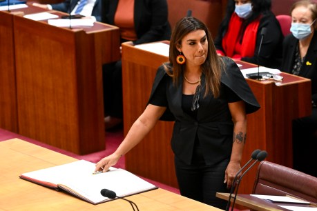 Greens senator quits role over bikie boss