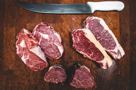 What is the ‘carnivore diet’ and is it a bad idea?