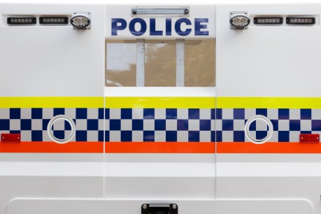 WA Police: Prowler tried to abduct brothers