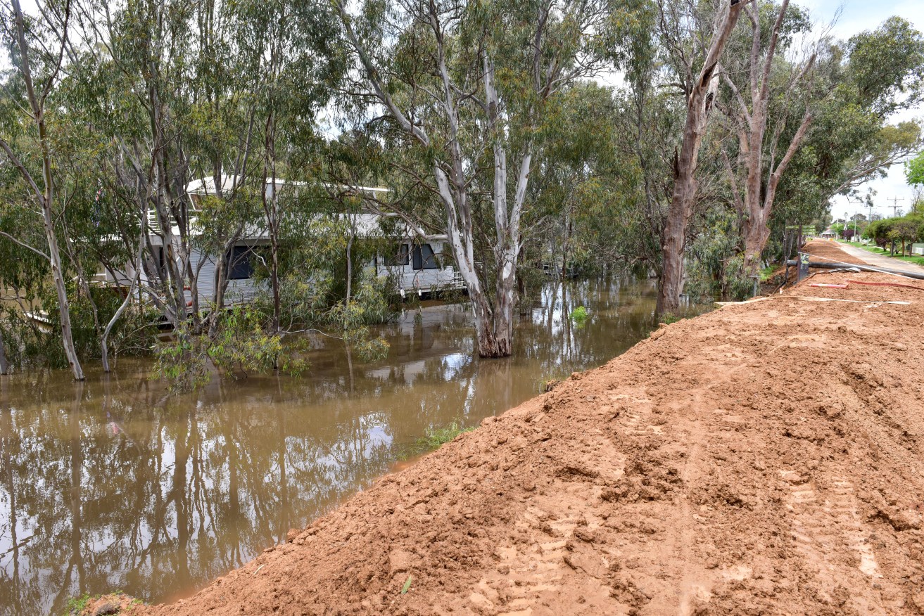 A levee was built through Echuca streets in a bid to protect the centre of town.