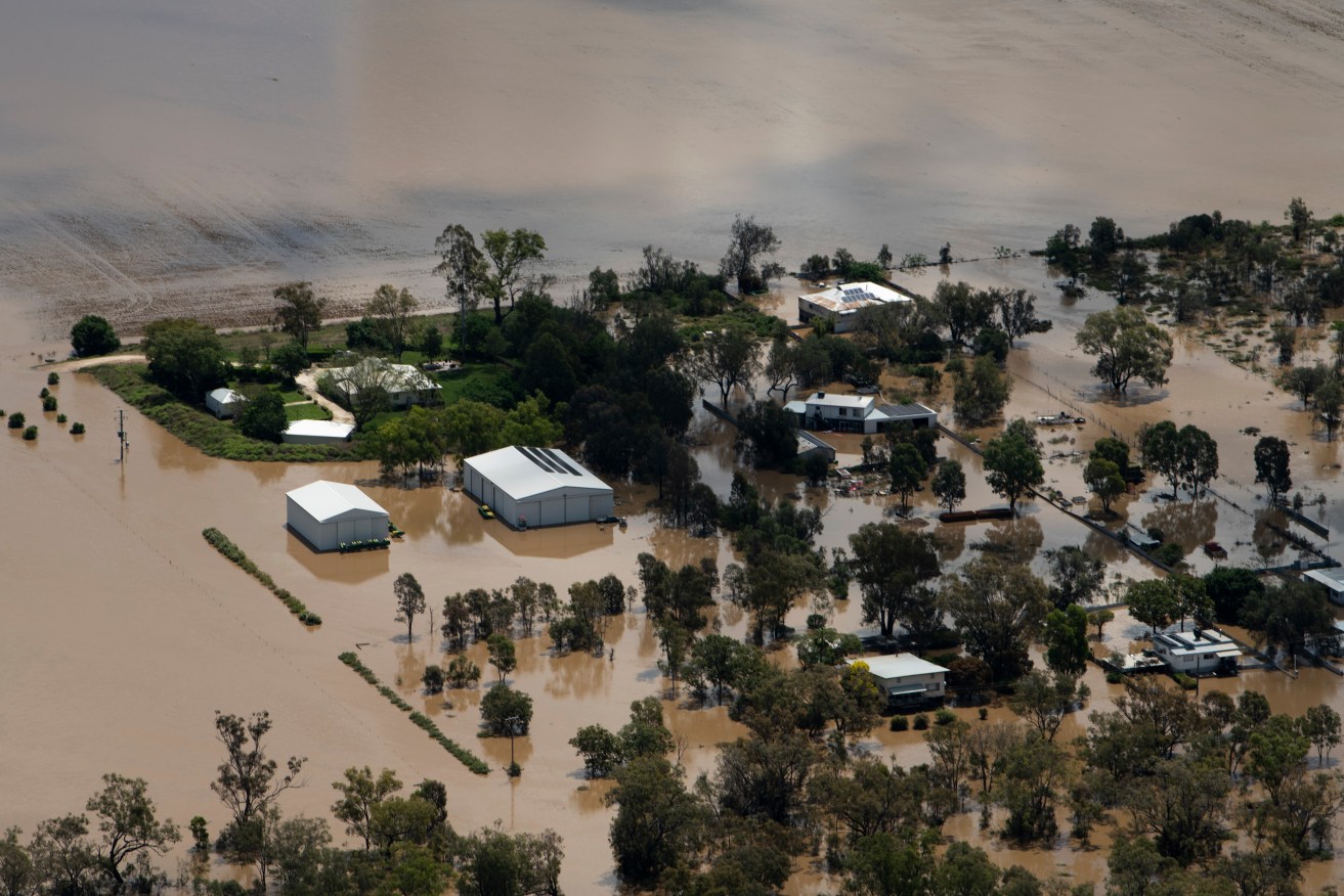 Drenched northern NSW is in for a brief reprieve from the punishing rain as Premier Dominic Perrottet visits waterlogged communities in the Riverina.