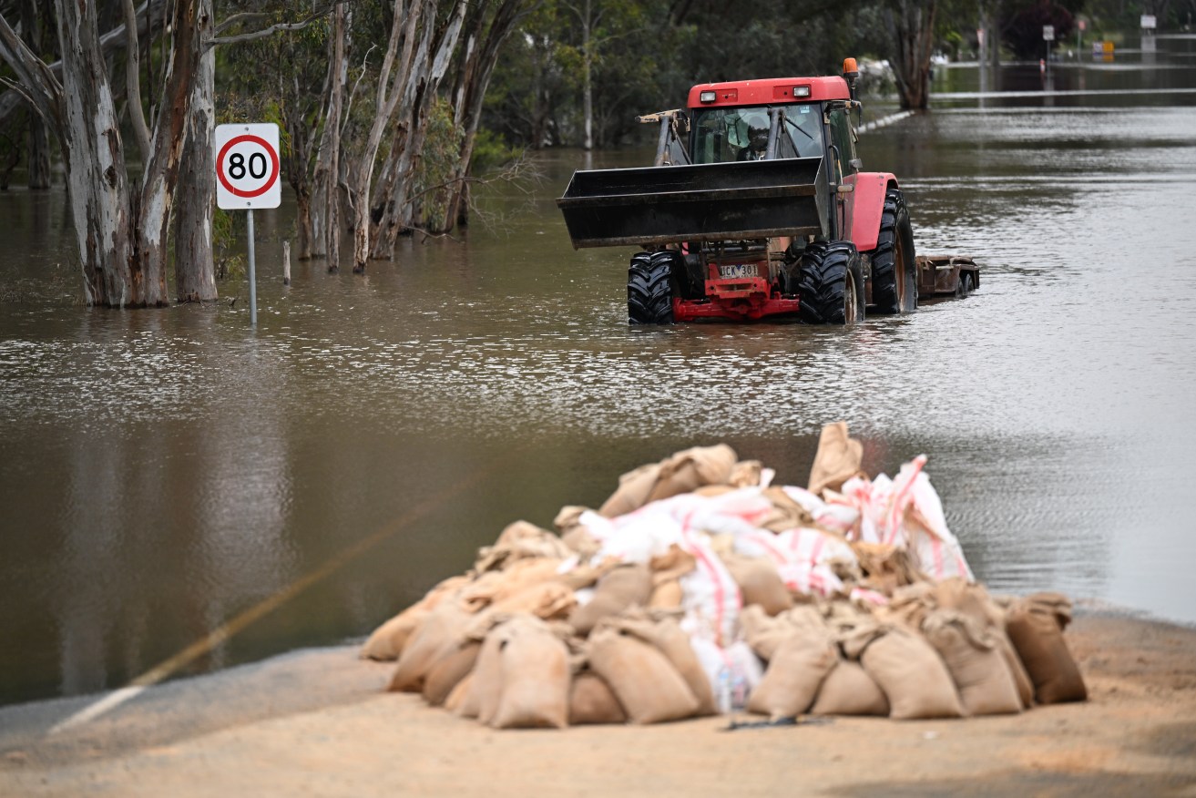 Towns on the Murray River are bracing for murky floodwaters to hang around well beyond summer.