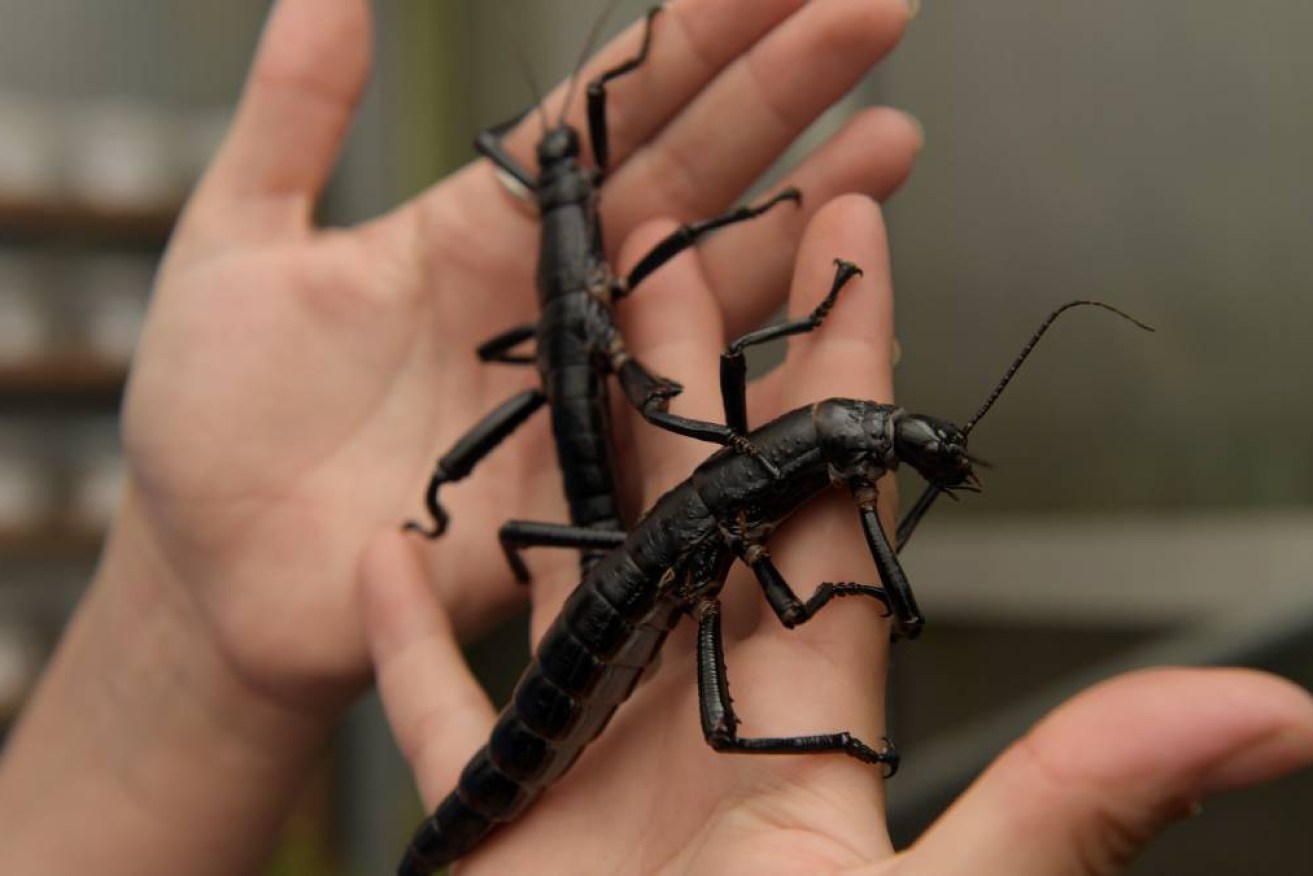 Aussies don't know their endangered species - research