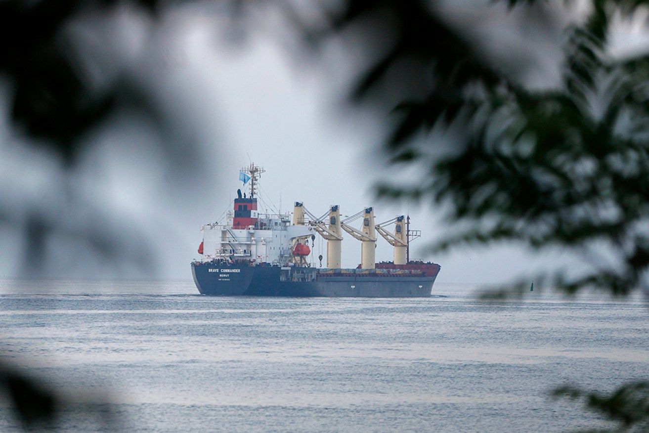The grains accord allows food and fertiliser exports from several of Ukraine's Black Sea ports.