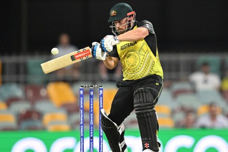 Finch injured as Australia edges Ireland in T20 win
