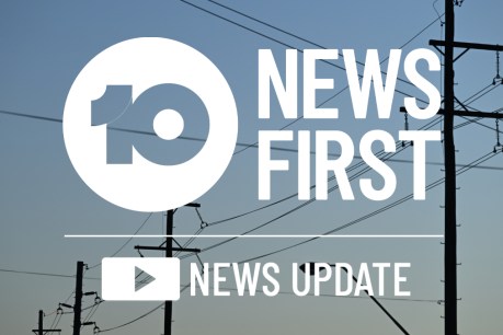 Watch: Power prices to rise, Albanese to India