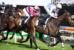 Lunar Flare scratched from Melbourne Cup