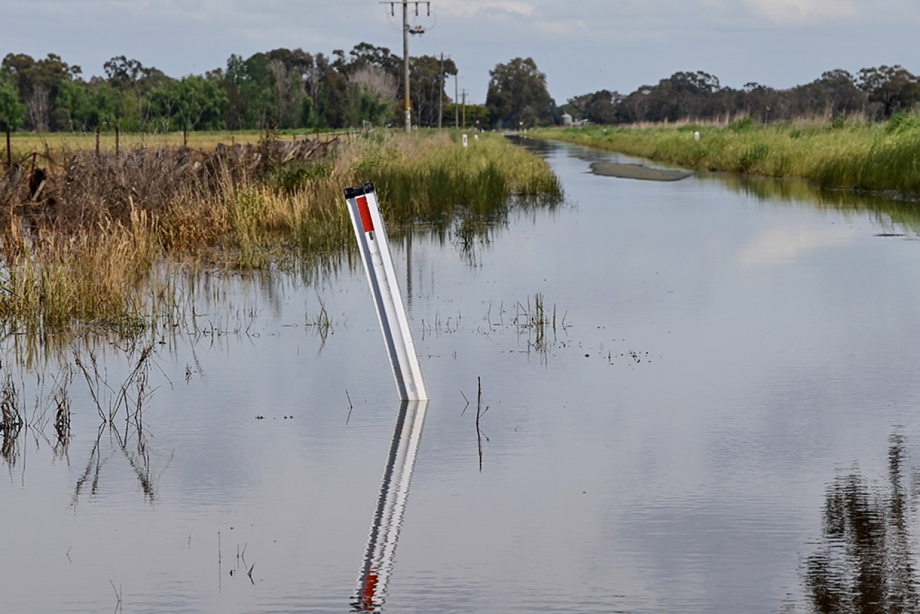 Areas immediately in and around the Murray River are at risk of major flooding later this week.