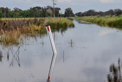 All eyes on Murray River, with flooding to continue