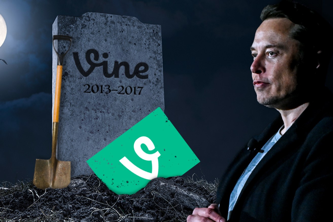 New Twitter owner Elon Musk has shown interest in resurrecting Vine.