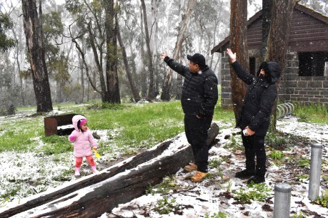 Snow falls thanks to ‘unseasonal’ cold snap