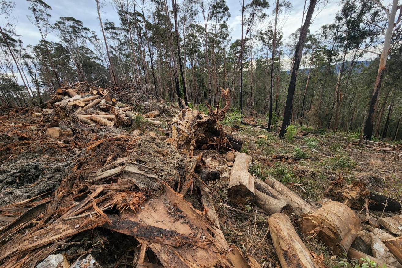 Hundreds of local Labor branches are calling on the party to end broadscale land clearing.