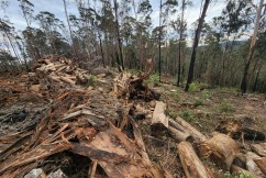 Push to end native logging, land clearing