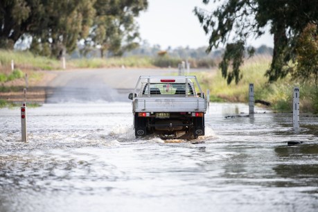 Residents evacuate as NSW towns flood