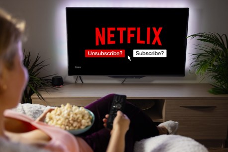 Netflix password crackdown paying off