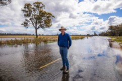 Rivers hit 70-year peaks at Forbes, Wagga