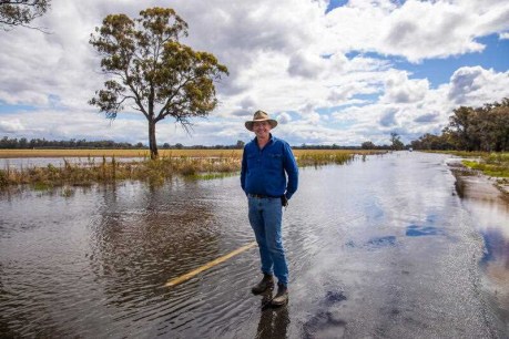 Rivers hit 70-year peaks at Forbes, Wagga