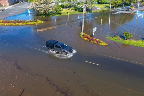 Pregnant woman ferried through NSW floods