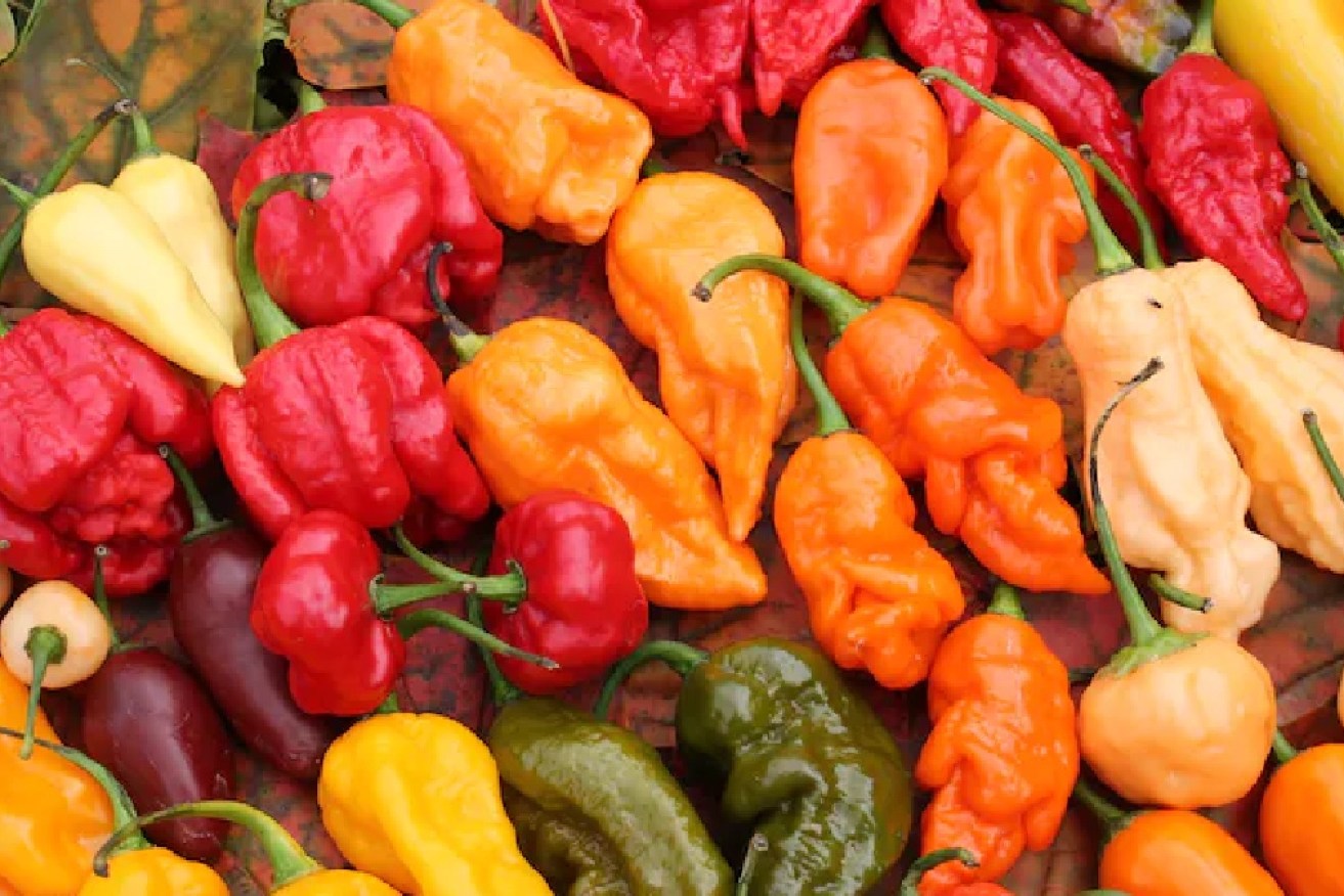 Capsaicin is what makes chilli peppers taste hot.