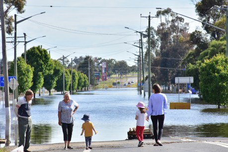 NSW on flood alert as second body found
