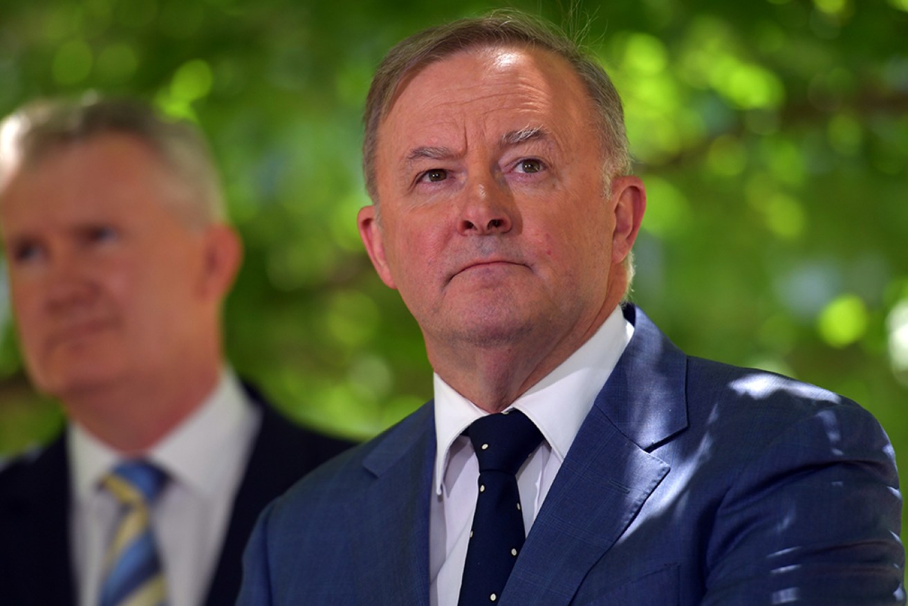 Tony Burke and Anthony Albanese are standing up to vested interests, Paul Bongiorno writes.