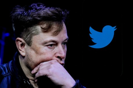 Elon Musk continues to purge key Twitter staff