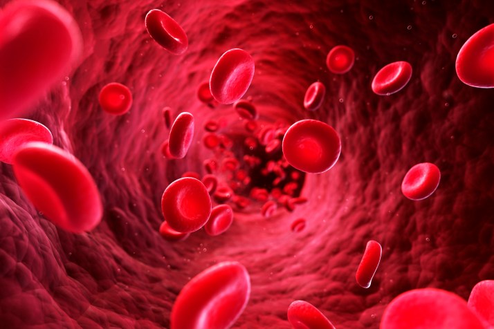 Two people get lab-grown blood cells in world first