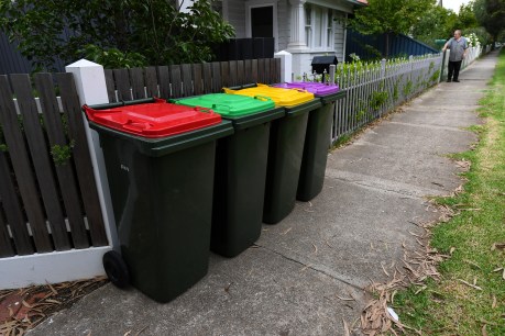 Half Australia&#8217;s &#8216;rubbish&#8217; can be recycled