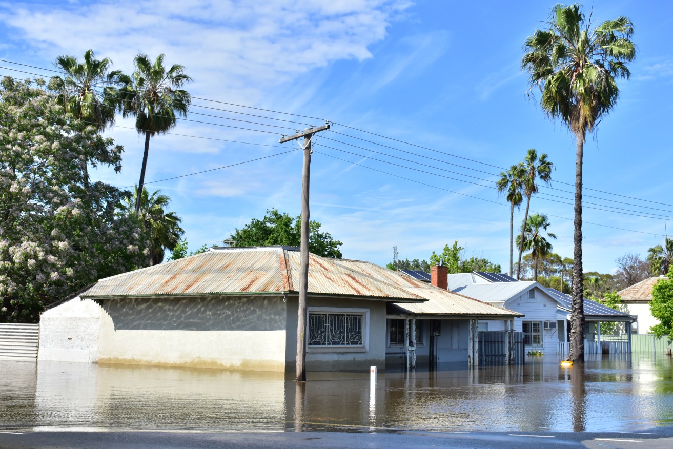 The flood peak at Forbes could remain through to the weekend, authorities say. 