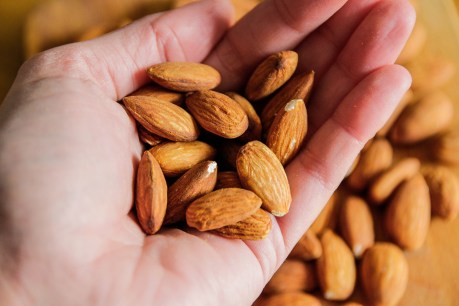 Grab a handful of almonds to aid gut bacteria