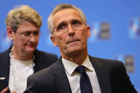 NATO chief: No indication of intentional attack