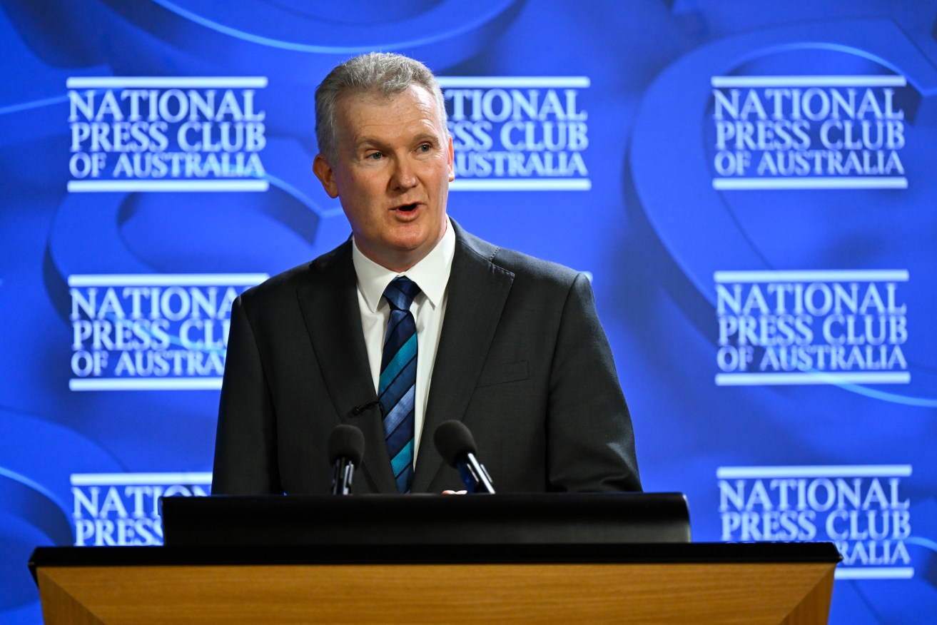 Tony Burke says Australian artists have been calling out for drive, direction and vision.