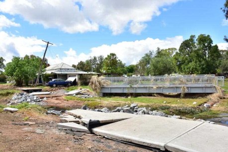 Receding NSW floods reveal extent of destruction