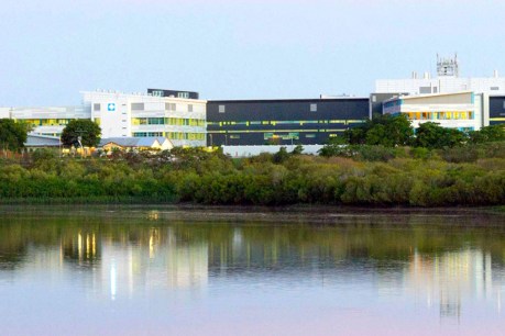 Qld government sacks Mackay Hospital board