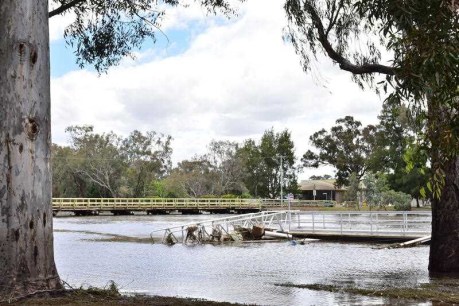 Regional NSW town rejoices as bank holds