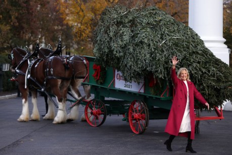 Biden decorations restore spirit of Christmas